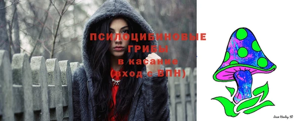 спайс Богданович