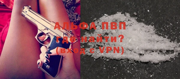 спайс Богданович