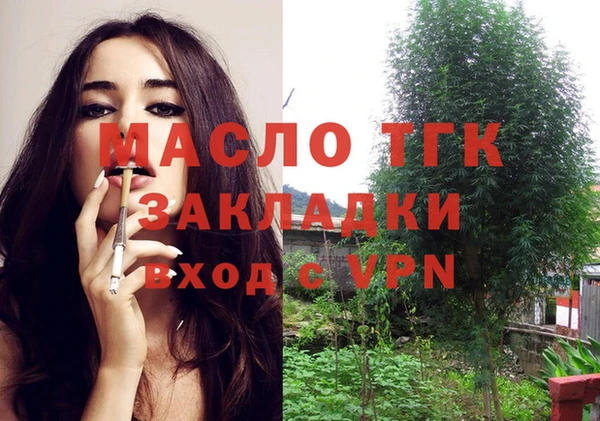 индика Белоозёрский