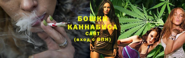 индика Белоозёрский