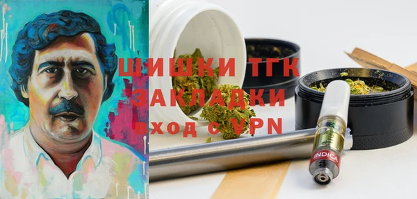 индика Белоозёрский