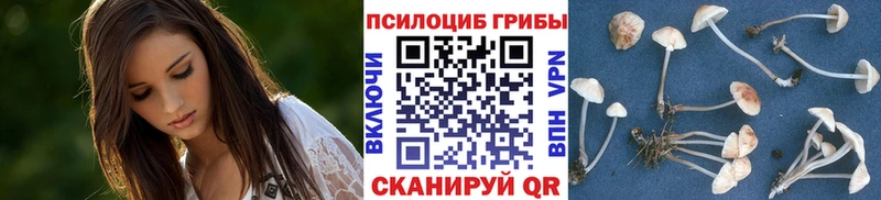 Псилоцибиновые грибы Psilocybe  Бахчисарай 